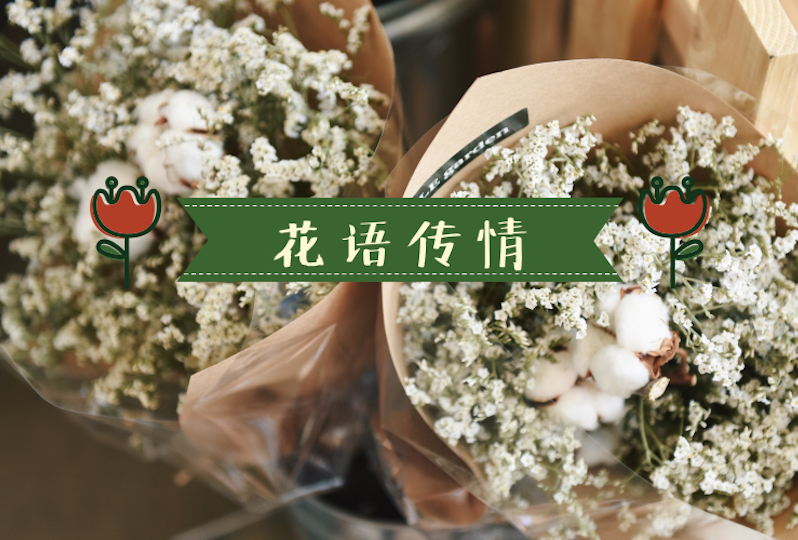 【一分钱攻略】让这些法语版花语告诉你,如何最浪漫地表达爱!