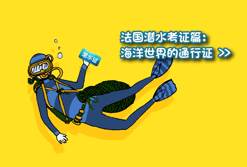 【一分钱攻略】法国潜水考证篇:深入大海的通行证
