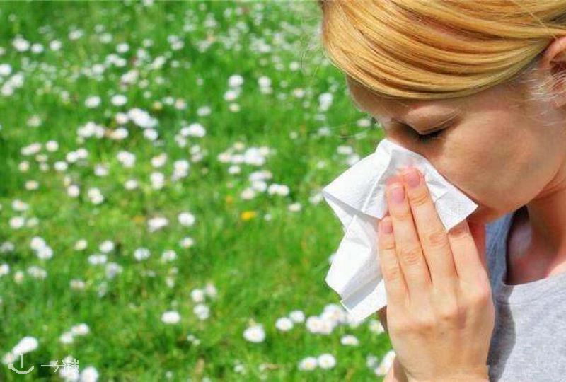 【一分钱攻略】干货~西班牙药房过敏类药品指南