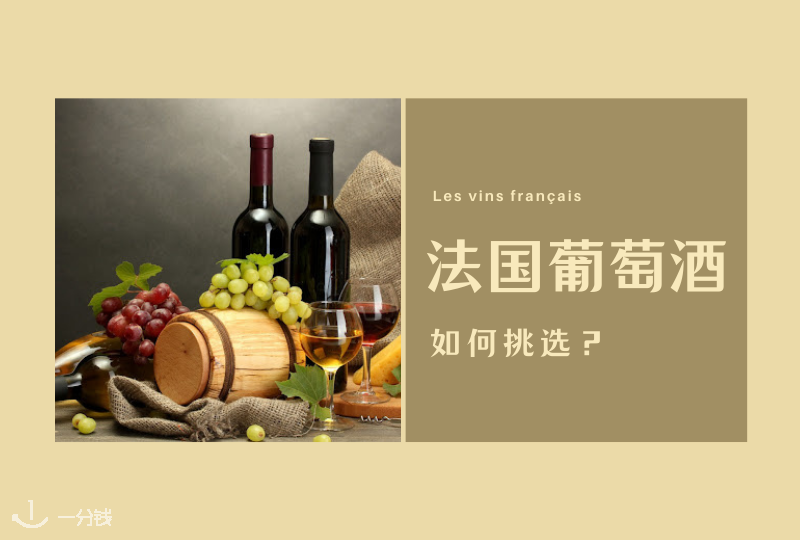 法国葡萄酒科普 | 摇晃的酒杯,那不寻常的美!如何挑选一款适合自己的葡萄酒?科普帖呈上!