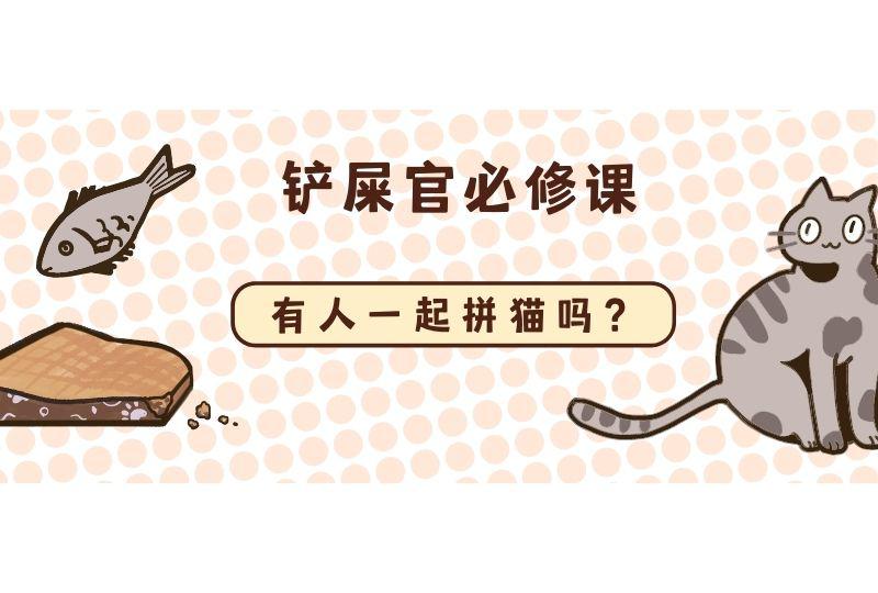 西班牙养猫实用手册 | 在西班牙，如何成功获得并饲养一只猫猫？