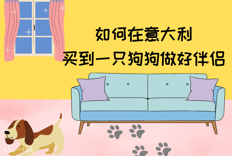 意大利养狗 | 如何在意大利拥有一个狗狗做自己的生活伴侣?