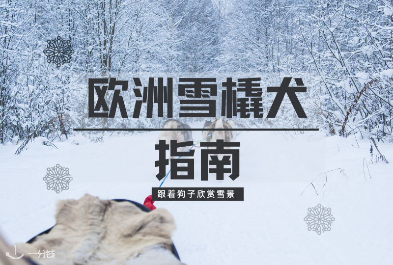 欧洲雪橇犬指南｜跟着飞奔的阿拉斯加和二哈们雪中赏景，太圣诞啦！