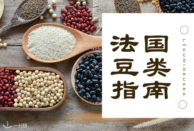 法国豆类指南 | 豆子们来给你补充蛋白质和维生素啦!