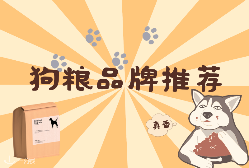 狗粮品牌推荐|哪款更适合你家的狗子?