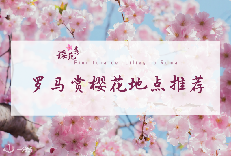 罗马赏樱地点指南｜春天到啦！罗马有哪些地方能看到樱花？