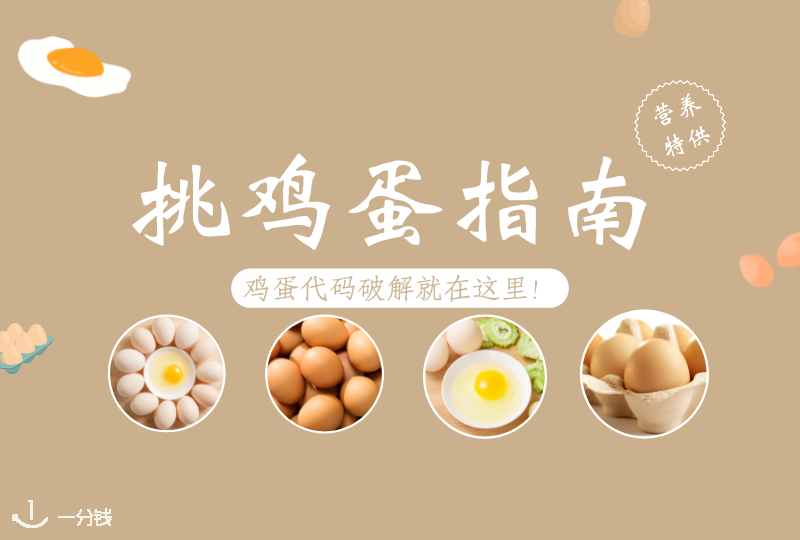 西班牙挑鸡蛋指南｜总是疑惑西班牙鸡蛋上的数字？解释都在这里啦