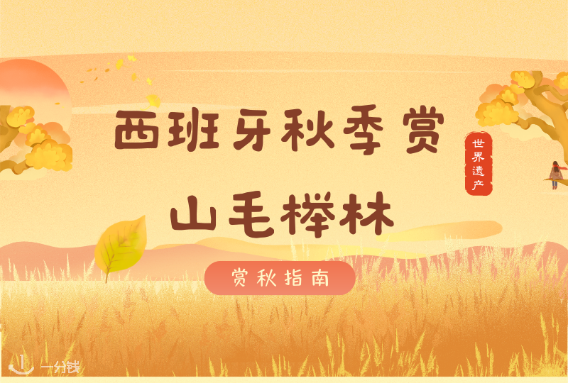 西班牙非遗山毛榉森林观赏地｜赏秋喽！金秋绝美世山毛榉林去哪里看呢？