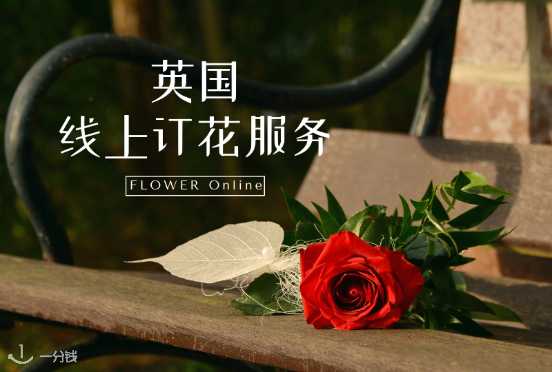 英国鲜花预订攻略|情人节网上订花+鲜花速递全盘点!