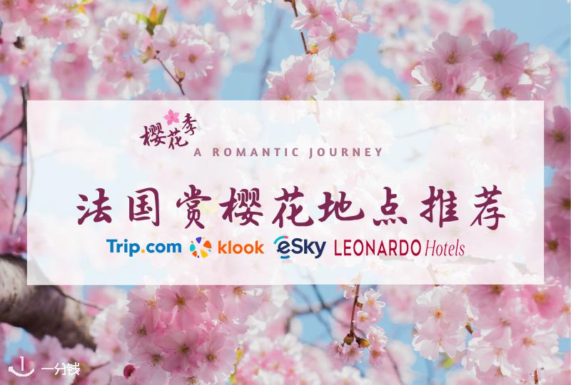 法国赏樱花地点推荐｜春天就快到啦！在哪里能看到一片樱花？