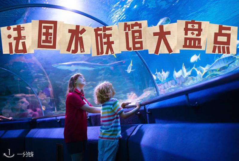 法国水族馆大盘点：一起潜入海底世界看看吧！