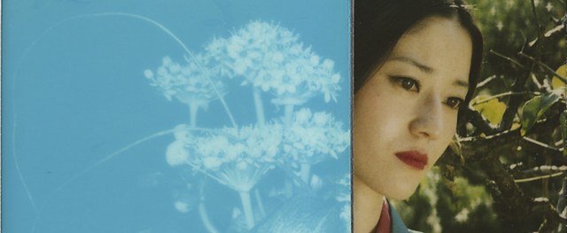 荒木经惟《POLARAKI：一千张宝丽来照片》：用影像记录生命的日记