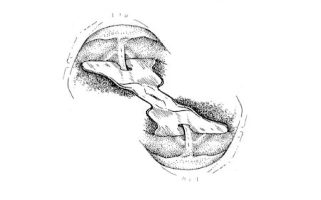 当代艺术对话｜glossia (algunas urgencias)：探索语言与声音的边界