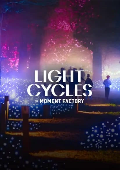 数字艺术与自然融合｜Light Cycles：夜幕下的沉浸式光影体验