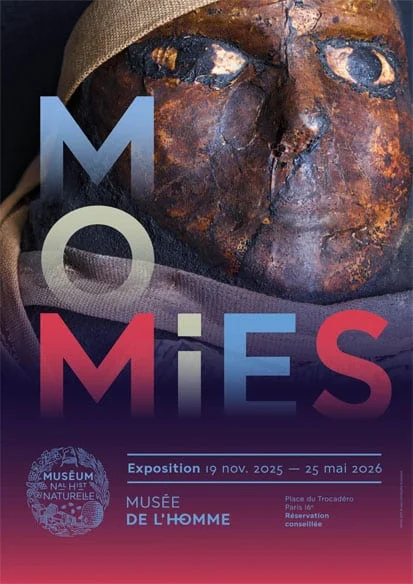 木乃伊与全球丧葬文化《Momies》：一场穿越时空的永恒对话