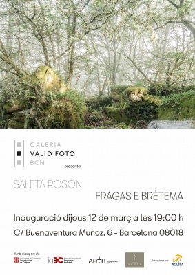 Saleta Rosón 摄影展《Reniala, la madre del bosque》：猴面包树下的记忆与自然