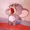 Jerry LI