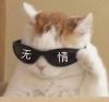 一分钱·熬夜大王