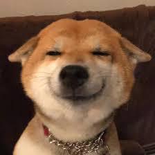 kiwiii