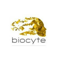 【打折季第二轮】Biocyte全场清仓价!15欧收抗老丸,美白丸仅需17欧!天啊撸!全网最低价!