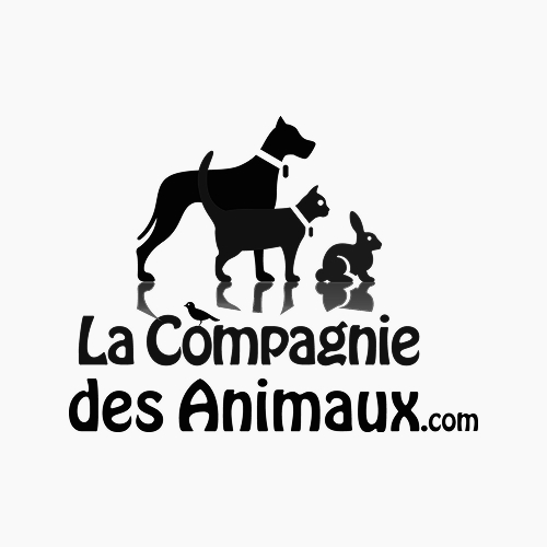 🐱🐶🐹🐰🐴🐤🐠猫狗鼠兔马鸡鱼,萌宠装备全购齐🥳 趁着还有折扣在,撸点羊毛家中囤😮