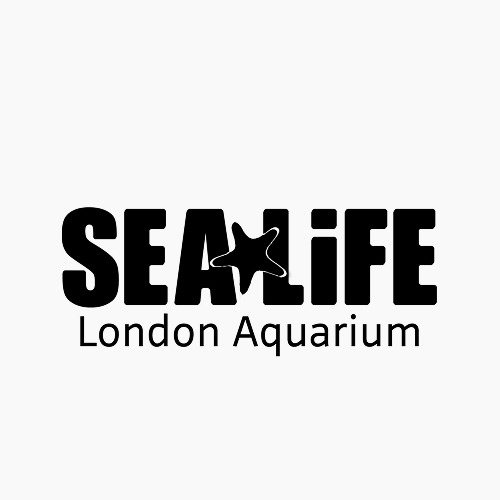 🏝️动物森友会✖️英国水族馆!现场和狸克或西施惠合影!订票仅£15起!布莱顿即将开启!
